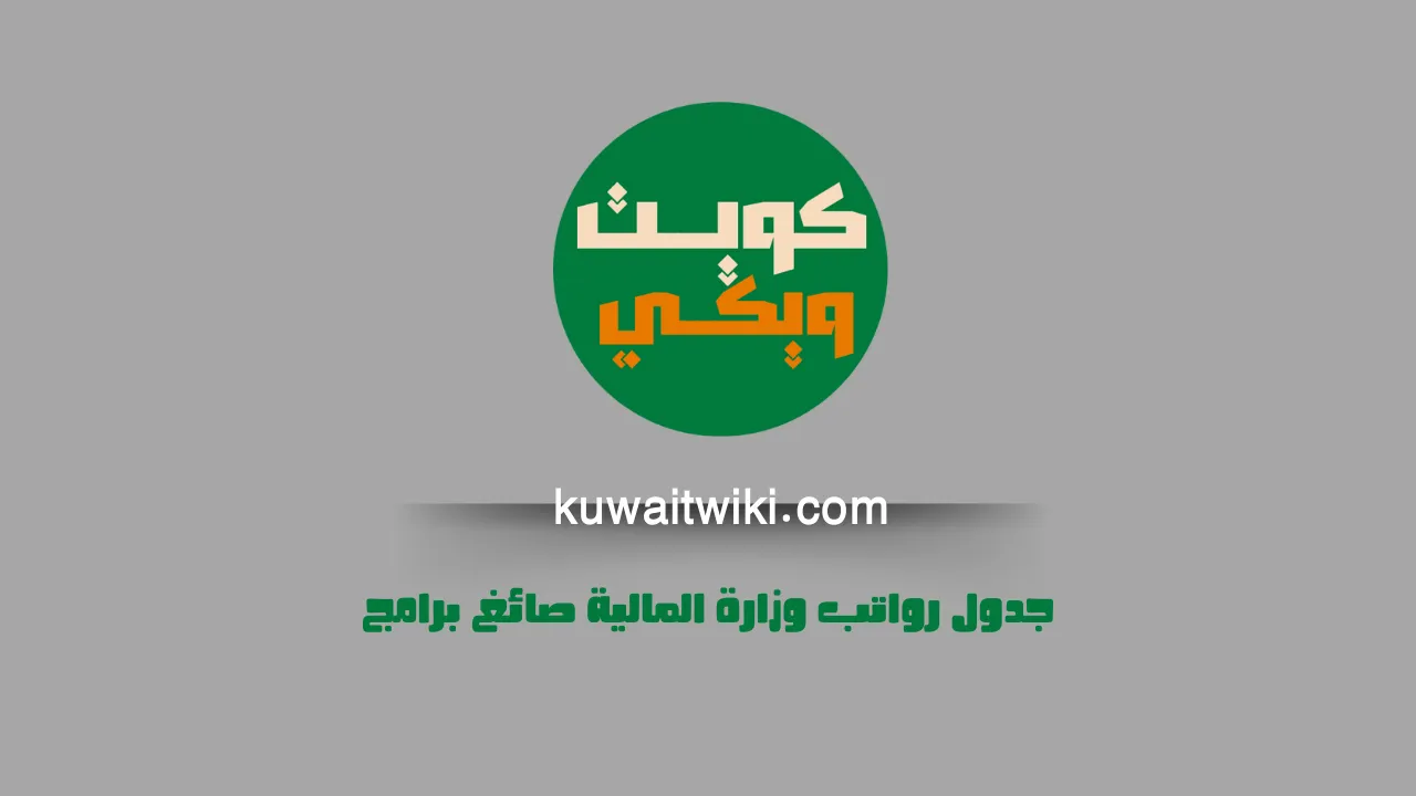 جدول رواتب وزارة المالية صائغ برامج 2025